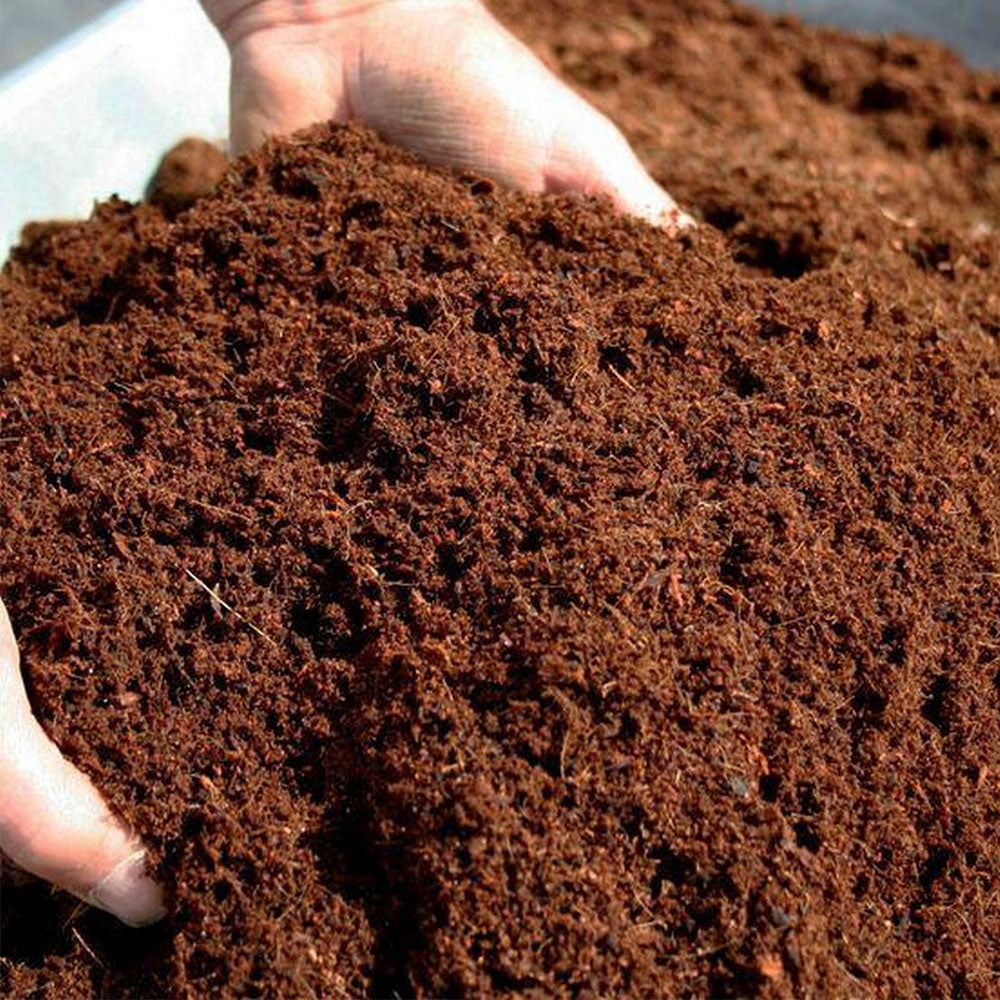 What are Soilless Mixes?