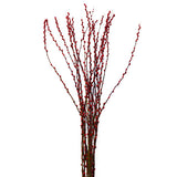 Coloured Pussy Willow 彩色银柳 (Bundle of 10 Branches)