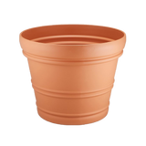 Iris Valencia Pot