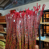 Coloured Pussy Willow 彩色银柳 (Bundle of 10 Branches)