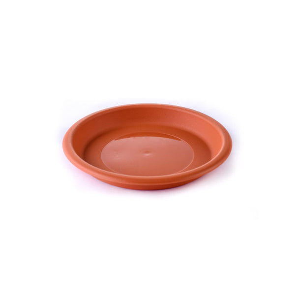 Saucer Size - Small